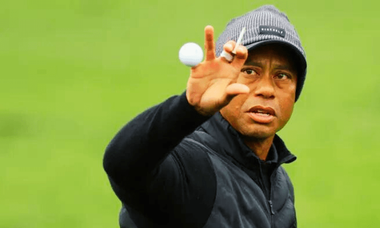 Tiger Woods Bio