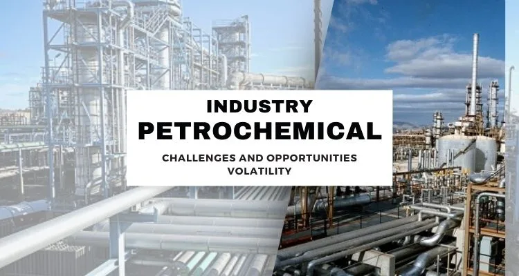 Petrochemical Industry Challenges